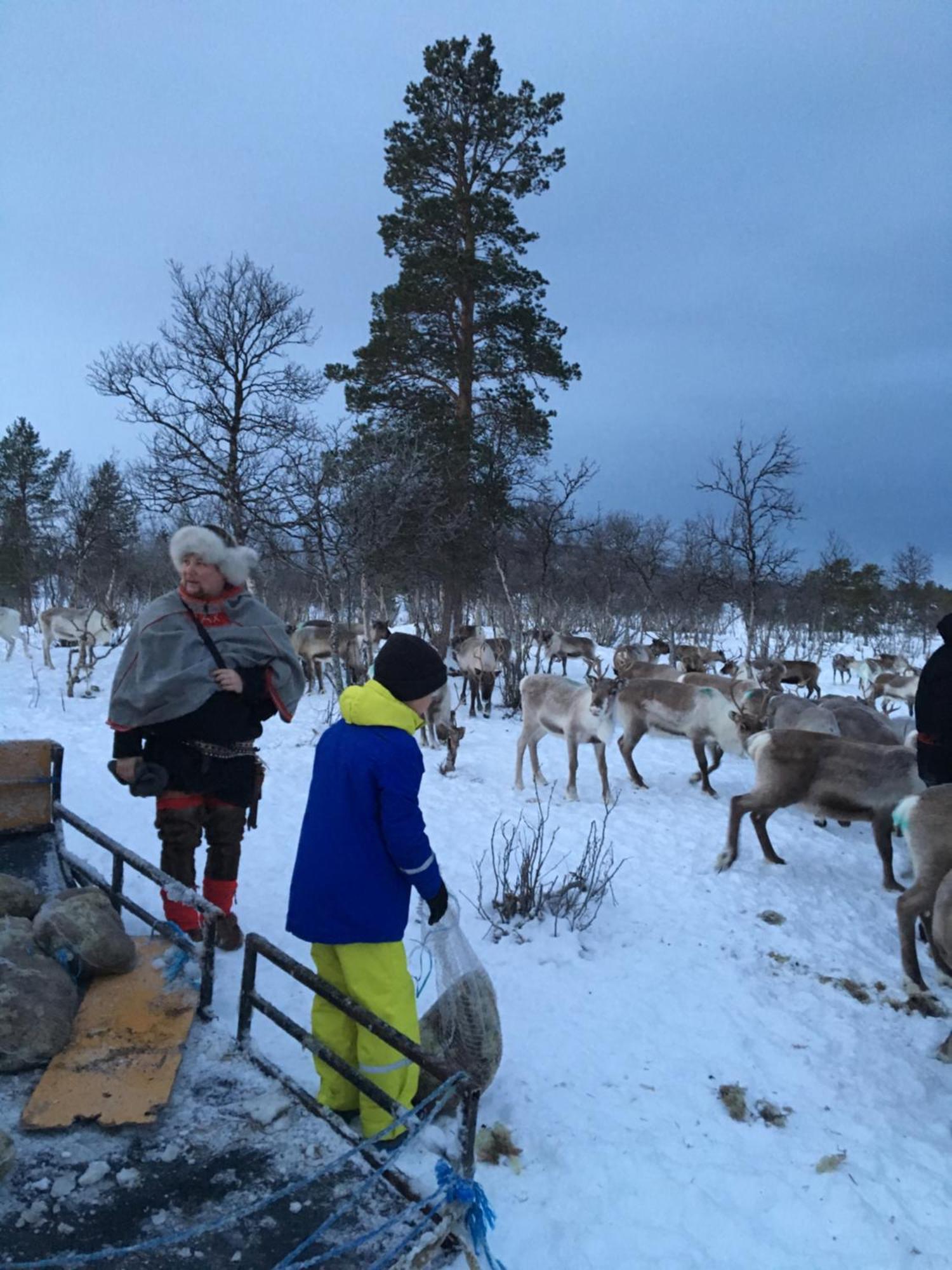 Bardufoss Hotell Bardufoss