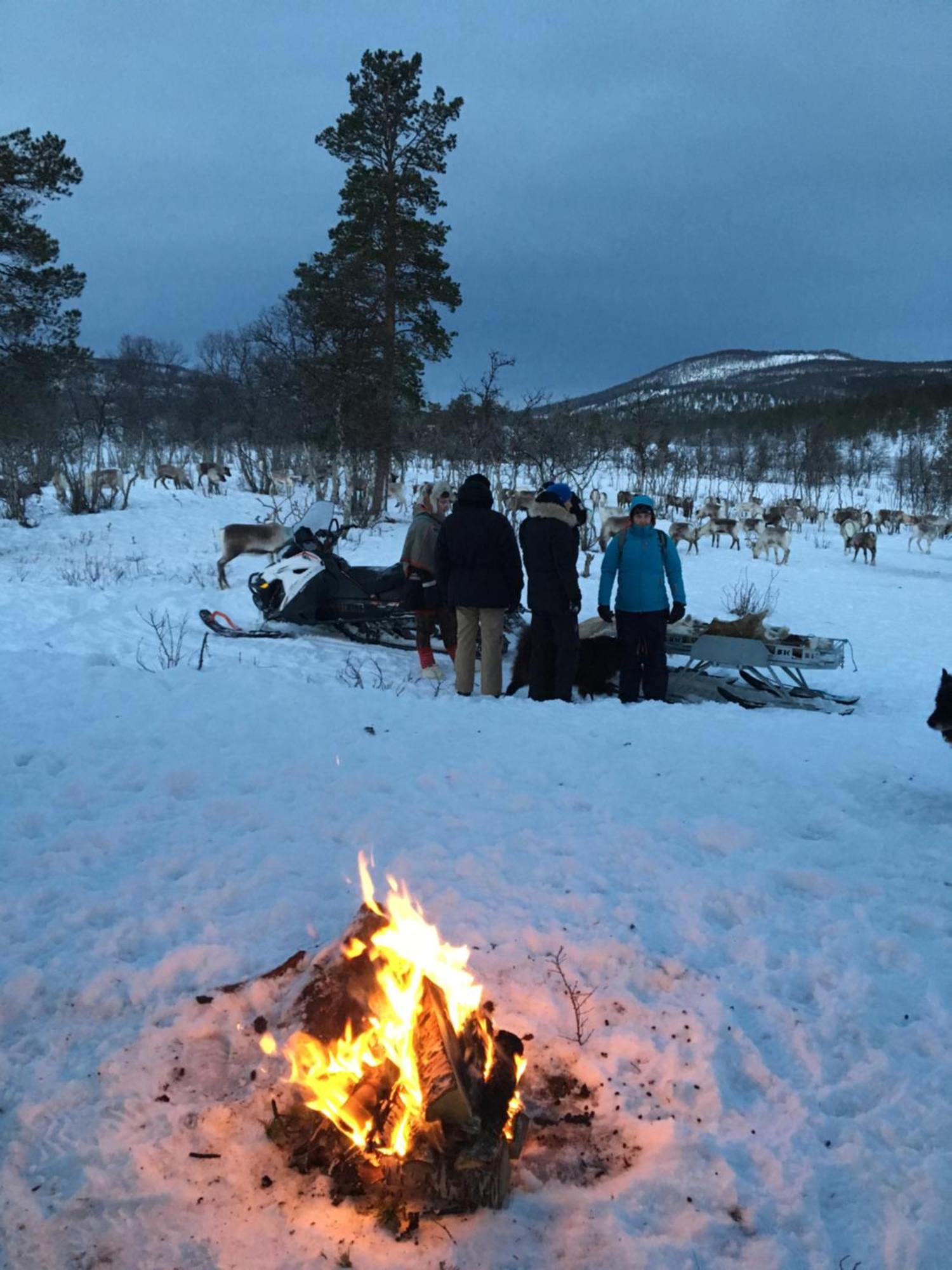 Bardufoss Hotell Hotel